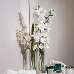 Aledo Boutique Lejlighed *