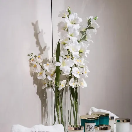 Aledo Boutique Appartement *